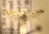  ( - H07tener)  @14 [ ] Copyright (2010) Unspecified Research Collection of W. and J. De Prins