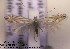  ( - H08esper)  @14 [ ] Copyright (2010) Unspecified Research Collection of W. and J. De Prins