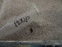  ( - GRADIA006)  @12 [ ] CreativeCommons  Attribution Non-Commercial Share-Alike (2016) BIGOT Diane Institut de Recherche sur la Biologie de l'Insecte