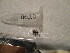  ( - GRADIA020)  @12 [ ] CreativeCommons  Attribution Non-Commercial Share-Alike (2016) BIGOT Diane Institut de Recherche sur la Biologie de l'Insecte