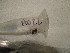  ( - GRADIA022)  @12 [ ] CreativeCommons  Attribution Non-Commercial Share-Alike (2016) BIGOT Diane Institut de Recherche sur la Biologie de l'Insecte