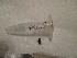  ( - GRADIA025)  @12 [ ] CreativeCommons  Attribution Non-Commercial Share-Alike (2016) BIGOT Diane Institut de Recherche sur la Biologie de l'Insecte