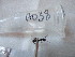  (Formica aerata - GRADIA038)  @11 [ ] CreativeCommons  Attribution Non-Commercial Share-Alike (2016) BIGOT Diane Institut de Recherche sur la Biologie de l'Insecte