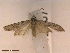  ( - CLV42467)  @11 [ ] CreativeCommons  Attribution Non-Commercial Share-Alike (2022) Carlos Lopez Vaamonde Institut National de la Recherche Agronomique, Zoologie Forestiere