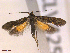  ( - CLV42503)  @11 [ ] CreativeCommons  Attribution Non-Commercial Share-Alike (2022) Carlos Lopez Vaamonde Institut National de la Recherche Agronomique, Zoologie Forestiere
