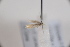  ( - CLV42674)  @11 [ ] CreativeCommons  Attribution Non-Commercial Share-Alike (2022) Carlos Lopez Vaamonde Institut National de la Recherche Agronomique, Zoologie Forestiere