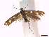  ( - CLV43107)  @11 [ ] CreativeCommons  Attribution Non-Commercial Share-Alike (2022) Carlos Lopez Vaamonde Institut National de la Recherche Agronomique, Zoologie Forestiere