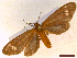  ( - CLV43141)  @11 [ ] CreativeCommons  Attribution Non-Commercial Share-Alike (2022) Carlos Lopez Vaamonde Institut National de la Recherche Agronomique, Zoologie Forestiere