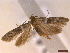  ( - CLV43241)  @11 [ ] CreativeCommons  Attribution Non-Commercial Share-Alike (2022) Carlos Lopez Vaamonde Institut National de la Recherche Agronomique, Zoologie Forestiere