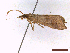  ( - CLV43453)  @11 [ ] CreativeCommons  Attribution Non-Commercial Share-Alike (2022) Carlos Lopez Vaamonde Institut National de la Recherche Agronomique, Zoologie Forestiere