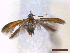  ( - CLV43950)  @11 [ ] CreativeCommons  Attribution Non-Commercial Share-Alike (2022) Carlos Lopez Vaamonde Institut National de la Recherche Agronomique, Zoologie Forestiere