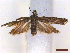 ( - CLV44022)  @11 [ ] CreativeCommons  Attribution Non-Commercial Share-Alike (2022) Carlos Lopez Vaamonde Institut National de la Recherche Agronomique, Zoologie Forestiere