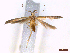  ( - CLV44214)  @11 [ ] CreativeCommons  Attribution Non-Commercial Share-Alike (2022) Carlos Lopez Vaamonde Institut National de la Recherche Agronomique, Zoologie Forestiere
