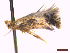  ( - CLV44228)  @11 [ ] CreativeCommons  Attribution Non-Commercial Share-Alike (2022) Carlos Lopez Vaamonde Institut National de la Recherche Agronomique, Zoologie Forestiere