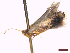  ( - CLV44229)  @11 [ ] CreativeCommons  Attribution Non-Commercial Share-Alike (2022) Carlos Lopez Vaamonde Institut National de la Recherche Agronomique, Zoologie Forestiere