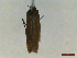  ( - CLV44542)  @11 [ ] CreativeCommons  Attribution Non-Commercial Share-Alike (2023) Carlos Lopez Vaamonde Institut National de la Recherche Agronomique, Zoologie Forestiere