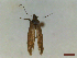  ( - CLV44551)  @11 [ ] CreativeCommons  Attribution Non-Commercial Share-Alike (2023) Carlos Lopez Vaamonde Institut National de la Recherche Agronomique, Zoologie Forestiere