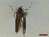  (Scythris subcinctella - CLV44552)  @11 [ ] CreativeCommons  Attribution Non-Commercial Share-Alike (2023) Carlos Lopez Vaamonde Institut National de la Recherche Agronomique, Zoologie Forestiere