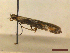  ( - CLV44599)  @11 [ ] CreativeCommons  Attribution Non-Commercial Share-Alike (2023) Carlos Lopez Vaamonde Institut National de la Recherche Agronomique, Zoologie Forestiere