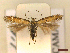  ( - CLV44605)  @11 [ ] CreativeCommons  Attribution Non-Commercial Share-Alike (2023) Carlos Lopez Vaamonde Institut National de la Recherche Agronomique, Zoologie Forestiere