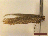  ( - CLV44607)  @11 [ ] CreativeCommons  Attribution Non-Commercial Share-Alike (2023) Carlos Lopez Vaamonde Institut National de la Recherche Agronomique, Zoologie Forestiere