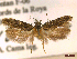  ( - CLV44627)  @11 [ ] CreativeCommons  Attribution Non-Commercial Share-Alike (2023) Carlos Lopez Vaamonde Institut National de la Recherche Agronomique, Zoologie Forestiere