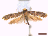  ( - CLV44711)  @11 [ ] CreativeCommons  Attribution Non-Commercial Share-Alike (2022) Carlos Lopez Vaamonde Institut National de la Recherche Agronomique, Zoologie Forestiere