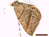  ( - CLV44823)  @11 [ ] CreativeCommons  Attribution Non-Commercial Share-Alike (2022) Carlos Lopez Vaamonde Institut National de la Recherche Agronomique, Zoologie Forestiere