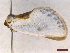  ( - CLV44866)  @11 [ ] CreativeCommons  Attribution Non-Commercial Share-Alike (2022) Carlos Lopez Vaamonde Institut National de la Recherche Agronomique, Zoologie Forestiere