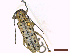  ( - CLV44898)  @11 [ ] CreativeCommons  Attribution Non-Commercial Share-Alike (2022) Carlos Lopez Vaamonde Institut National de la Recherche Agronomique, Zoologie Forestiere