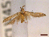  ( - CLV45187)  @11 [ ] CreativeCommons  Attribution Non-Commercial Share-Alike (2022) Carlos Lopez Vaamonde Institut National de la Recherche Agronomique, Zoologie Forestiere