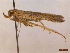  ( - CLV45218)  @11 [ ] CreativeCommons  Attribution Non-Commercial Share-Alike (2022) Carlos Lopez Vaamonde Institut National de la Recherche Agronomique, Zoologie Forestiere