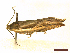  ( - CLV45297)  @11 [ ] CreativeCommons  Attribution Non-Commercial Share-Alike (2022) Carlos Lopez Vaamonde Institut National de la Recherche Agronomique, Zoologie Forestiere