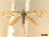  ( - CLV45373)  @11 [ ] CreativeCommons  Attribution Non-Commercial Share-Alike (2022) Carlos Lopez Vaamonde Institut National de la Recherche Agronomique, Zoologie Forestiere