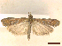  ( - CLV45505)  @11 [ ] CreativeCommons  Attribution Non-Commercial Share-Alike (2022) Carlos Lopez Vaamonde Institut National de la Recherche Agronomique, Zoologie Forestiere