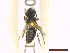  ( - CLV45508)  @11 [ ] CreativeCommons  Attribution Non-Commercial Share-Alike (2022) Carlos Lopez Vaamonde Institut National de la Recherche Agronomique, Zoologie Forestiere