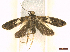  ( - CLV45513)  @11 [ ] CreativeCommons  Attribution Non-Commercial Share-Alike (2022) Carlos Lopez Vaamonde Institut National de la Recherche Agronomique, Zoologie Forestiere