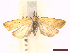  ( - CLV45615)  @11 [ ] CreativeCommons  Attribution Non-Commercial Share-Alike (2022) Carlos Lopez Vaamonde Institut National de la Recherche Agronomique, Zoologie Forestiere