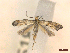  ( - CLV45618)  @11 [ ] CreativeCommons  Attribution Non-Commercial Share-Alike (2022) Carlos Lopez Vaamonde Institut National de la Recherche Agronomique, Zoologie Forestiere