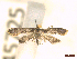  ( - CLV45725)  @11 [ ] CreativeCommons  Attribution Non-Commercial Share-Alike (2023) Carlos Lopez Vaamonde Institut National de la Recherche Agronomique, Zoologie Forestiere