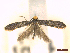  ( - CLV45837)  @11 [ ] CreativeCommons  Attribution Non-Commercial Share-Alike (2023) Carlos Lopez Vaamonde Institut National de la Recherche Agronomique, Zoologie Forestiere