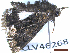  ( - CLV46268)  @11 [ ] CreativeCommons  Attribution Non-Commercial Share-Alike (2023) Carlos Lopez-Vaamonde Museum National d'Histoire Naturelle, Paris