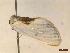  ( - CLV46390)  @11 [ ] CreativeCommons  Attribution Non-Commercial Share-Alike (2023) Carlos Lopez-Vaamonde Museum National d'Histoire Naturelle, Paris