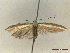  ( - CLV46812)  @11 [ ] CreativeCommons  Attribution Non-Commercial Share-Alike (2022) Carlos Lopez Vaamonde Institut National de la Recherche Agronomique, Zoologie Forestiere