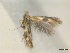  ( - CLV46838)  @11 [ ] CreativeCommons  Attribution Non-Commercial Share-Alike (2022) Carlos Lopez Vaamonde Institut National de la Recherche Agronomique, Zoologie Forestiere