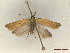  ( - CLV46854)  @11 [ ] CreativeCommons  Attribution Non-Commercial Share-Alike (2022) Carlos Lopez Vaamonde Institut National de la Recherche Agronomique, Zoologie Forestiere