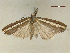  ( - CLV46878)  @11 [ ] CreativeCommons  Attribution Non-Commercial Share-Alike (2022) Carlos Lopez Vaamonde Institut National de la Recherche Agronomique, Zoologie Forestiere
