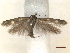  ( - CLV46989)  @11 [ ] CreativeCommons  Attribution Non-Commercial Share-Alike (2022) Carlos Lopez Vaamonde Institut National de la Recherche Agronomique, Zoologie Forestiere