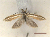  ( - CLV46997)  @11 [ ] CreativeCommons  Attribution Non-Commercial Share-Alike (2022) Carlos Lopez Vaamonde Institut National de la Recherche Agronomique, Zoologie Forestiere
