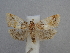  ( - CLV49833)  @11 [ ] CreativeCommons  Attribution Non-Commercial Share-Alike (2025) Carlos Lopez Vaamonde Institut National de la Recherche Agronomique, Zoologie Forestiere